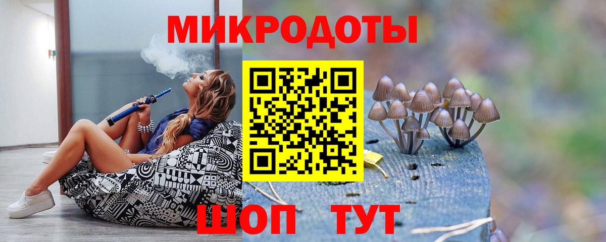 Псилоцибиновые грибы мицелий Гай